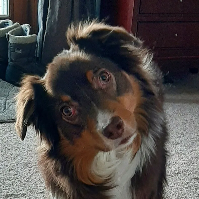 Rona Schmidt Rona Schmidt