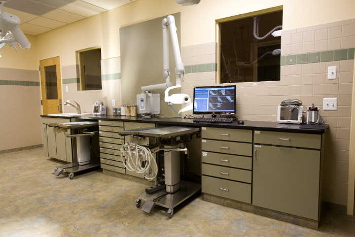 A view of two exam stations with diagnostic equipment