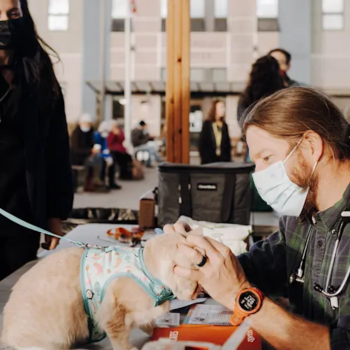 Staff examining dog at homeless camp Staff examining dog at homeless camp