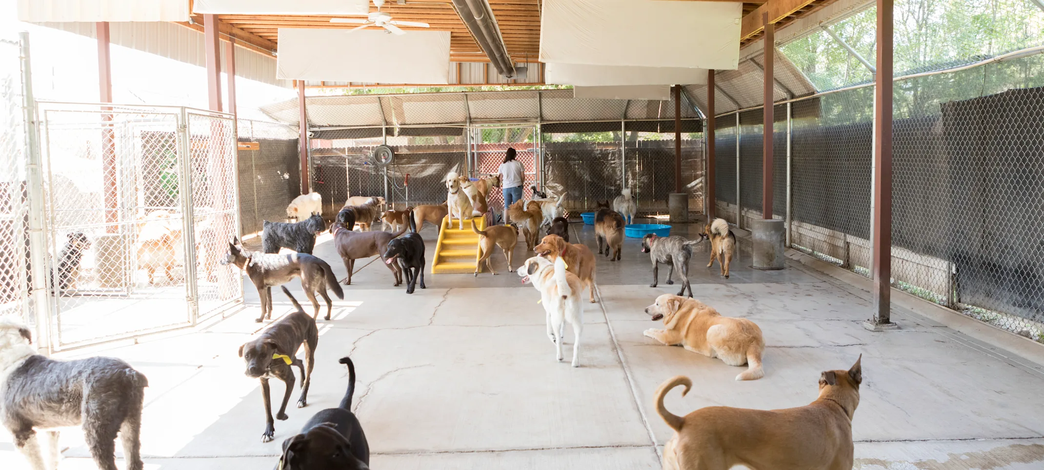 Day care play area outside Day care play area outside