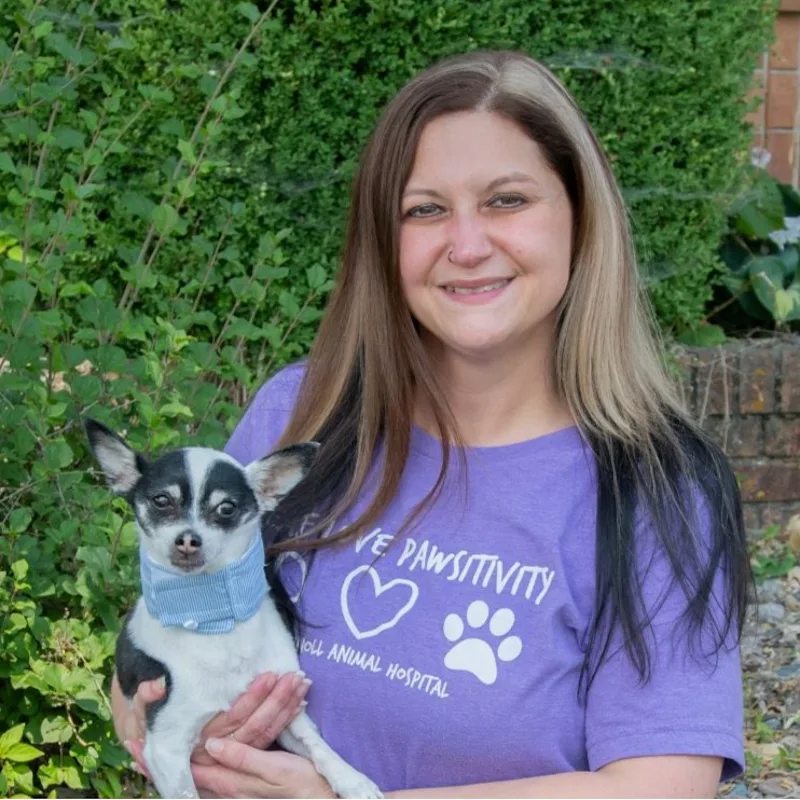 Oak Knoll Animal Hospital 0427 - Kylie Jo Oak Knoll Animal Hospital 0427 - Kylie Jo