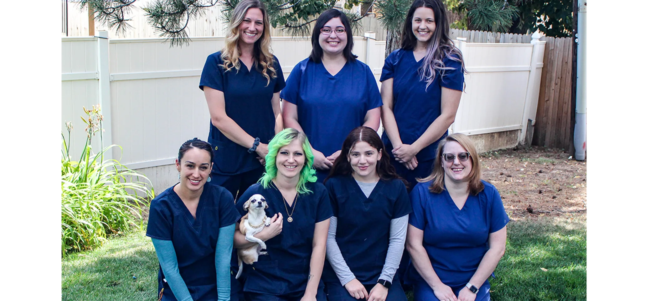 Client Service Team at Overland Animal Hospital.