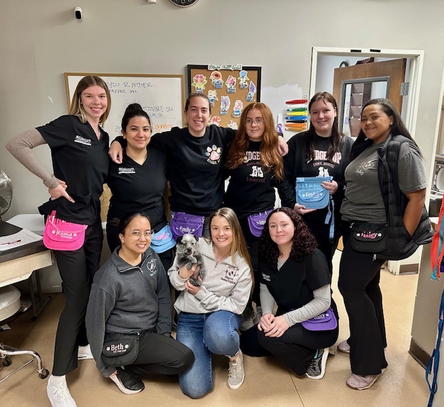 Celebrating Veterinary Technician Week