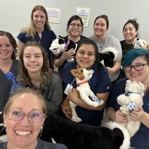 Lunch & Learn Team Photo Lunch & Learn Team Photo