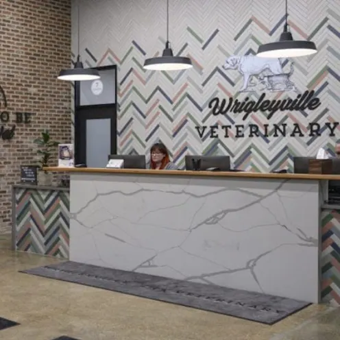 Front Desk at Wrigleyville Veterinary Center Front Desk at Wrigleyville Veterinary Center