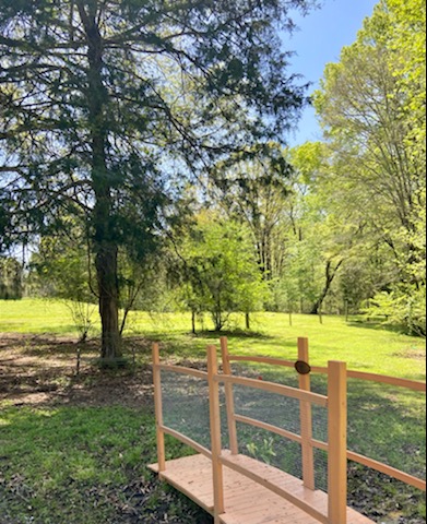 Wooden bridge at the dog park.