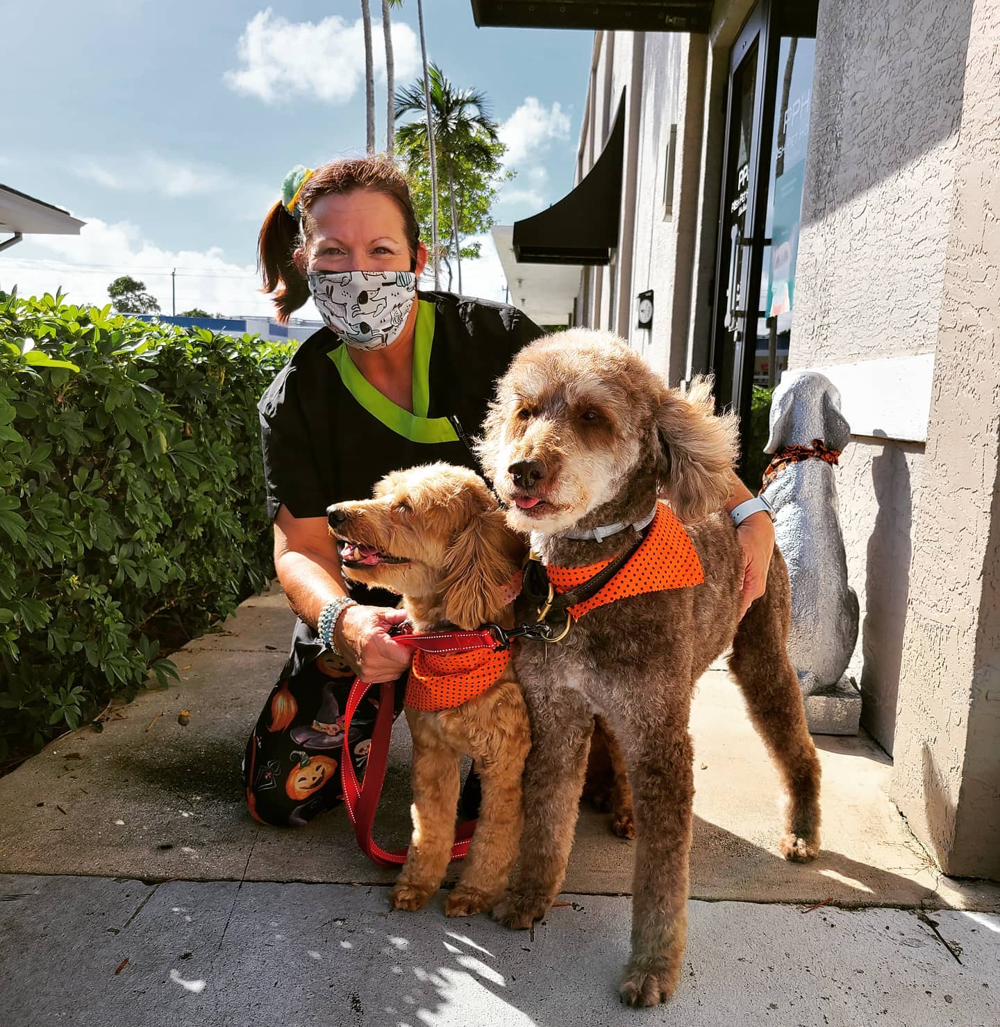 Staff lady with her mask on taking a picture with two cute dogs