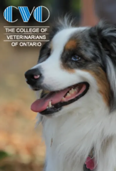 College of Veterinarians of Ontario (CVO)