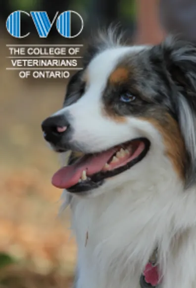 College of Veterinarians of Ontario (CVO) College of Veterinarians of Ontario (CVO)