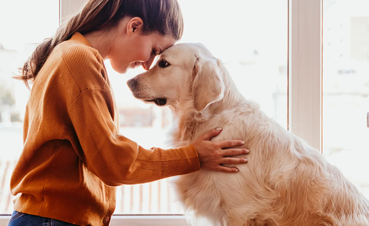 Pet owner sitting with their older golden retriever and leaning their heads together.