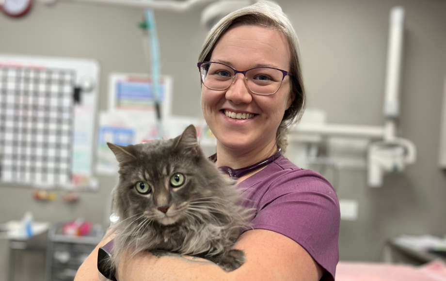 Staff member holding a cat