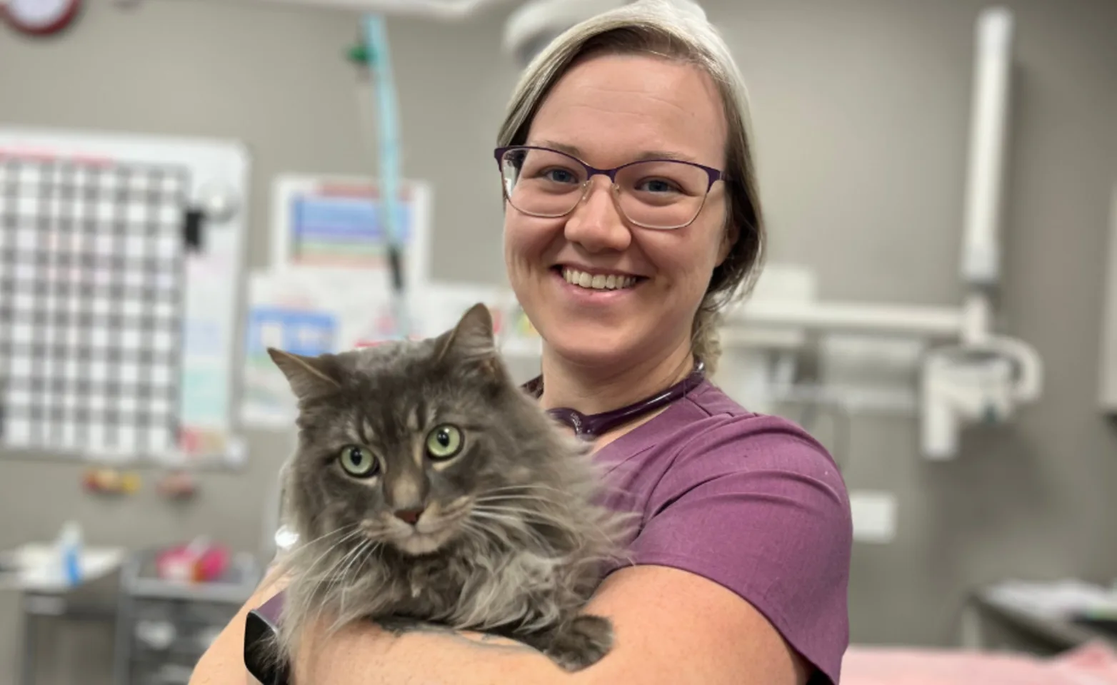 Staff member holding a cat Staff member holding a cat