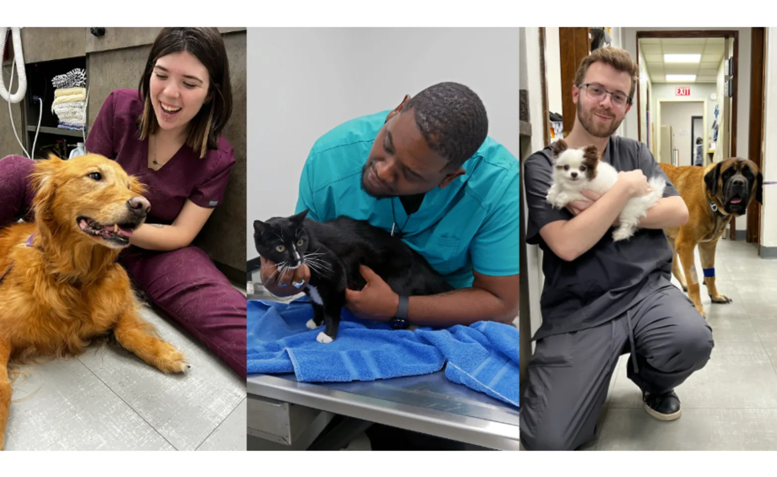 Three Staff Members with Dogs and Cats Three Staff Members with Dogs and Cats