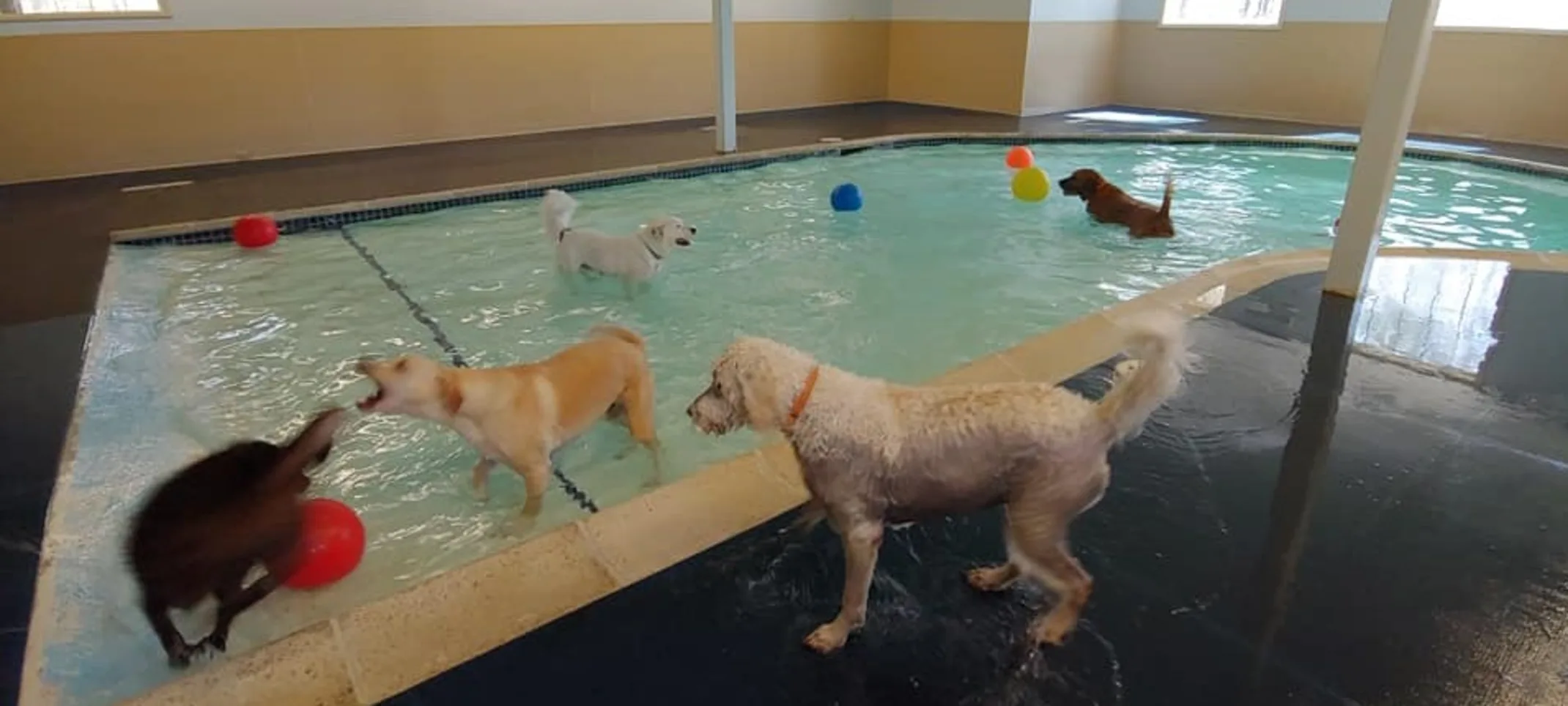 Inside Pool Inside Pool