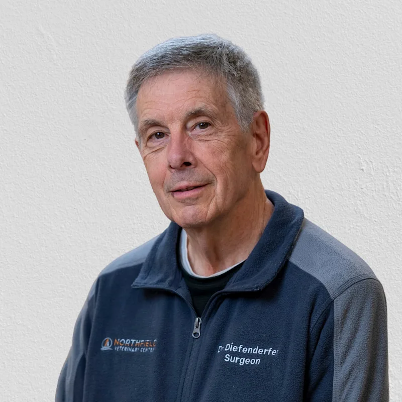 David Diefenderfer David Diefenderfer