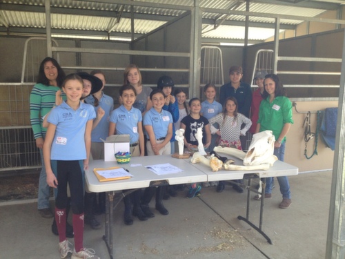 school kids at table with horse bones