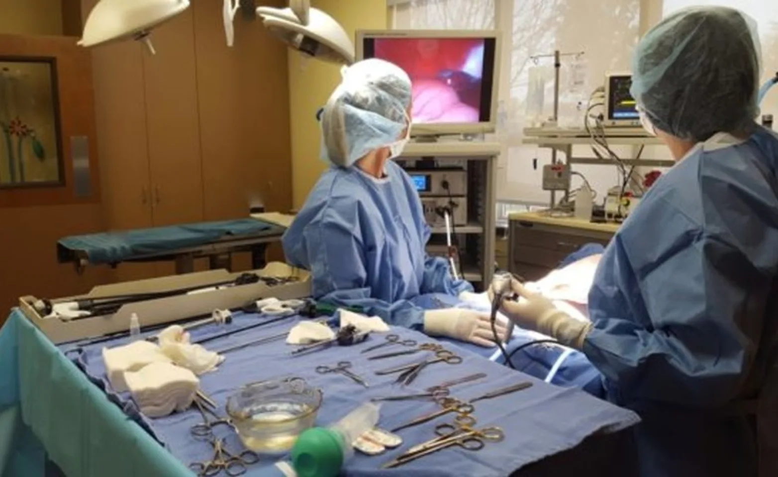 Surgeons performing Laparoscopic Soft Tissue Surgery Surgeons performing Laparoscopic Soft Tissue Surgery