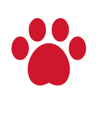 Paw Print Icon