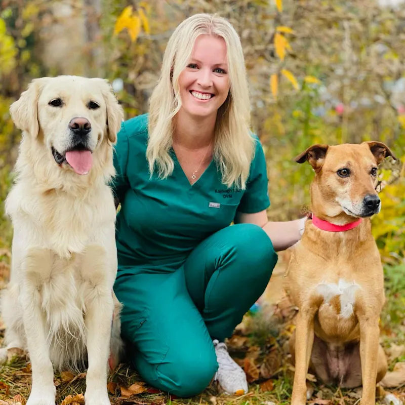 Dr. Kayleigh Tait with two dogs. Dr. Kayleigh Tait with two dogs.