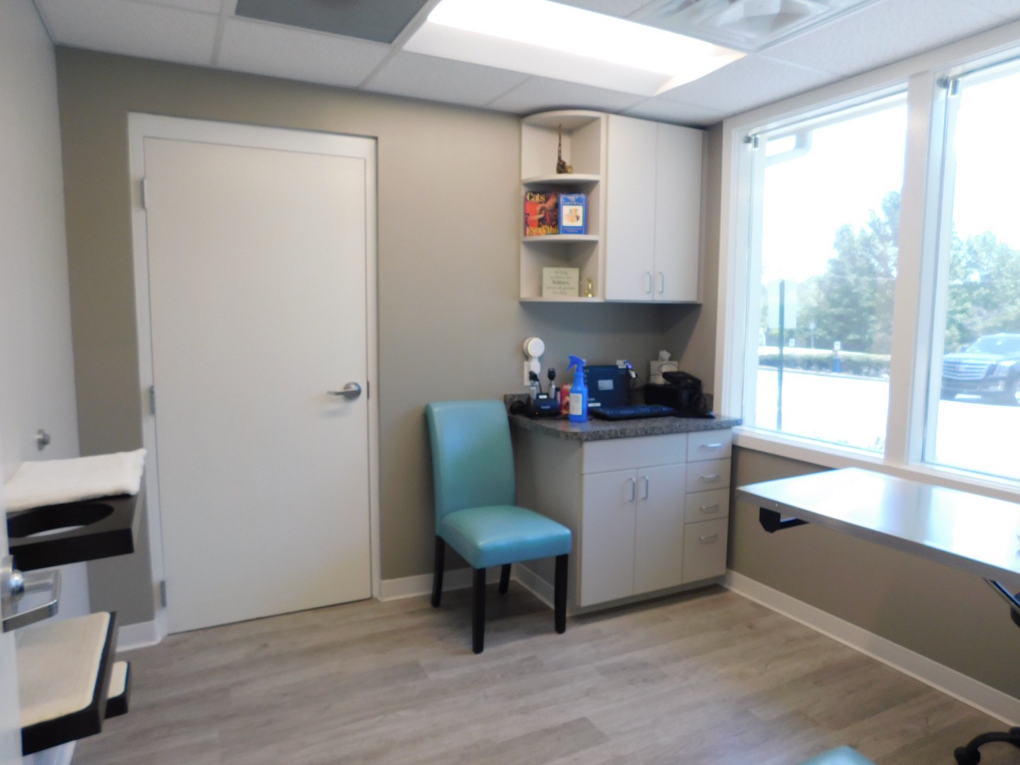 Quail Corners Animal Hospital Cat Room