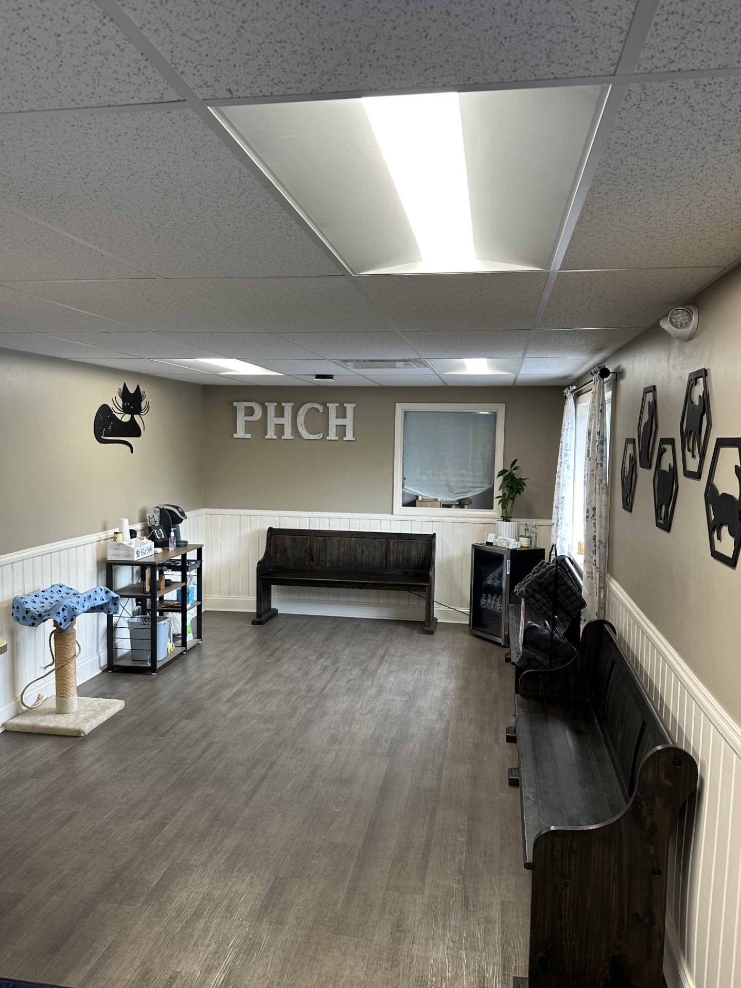 Paris Hill Cat Hospital waiting room