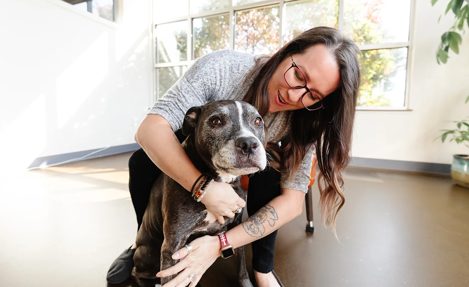 Dog being hugged from behind by doctor Dog being hugged from behind by doctor