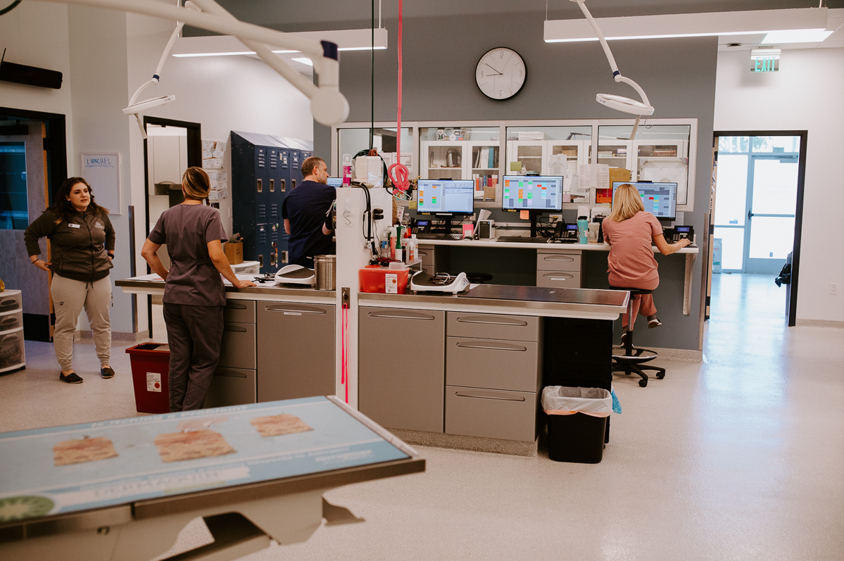 Frontier Village Veterinary Clinic exam area
