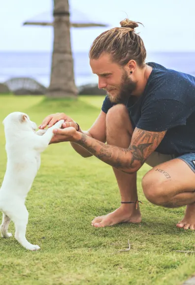 Dog playing with a man