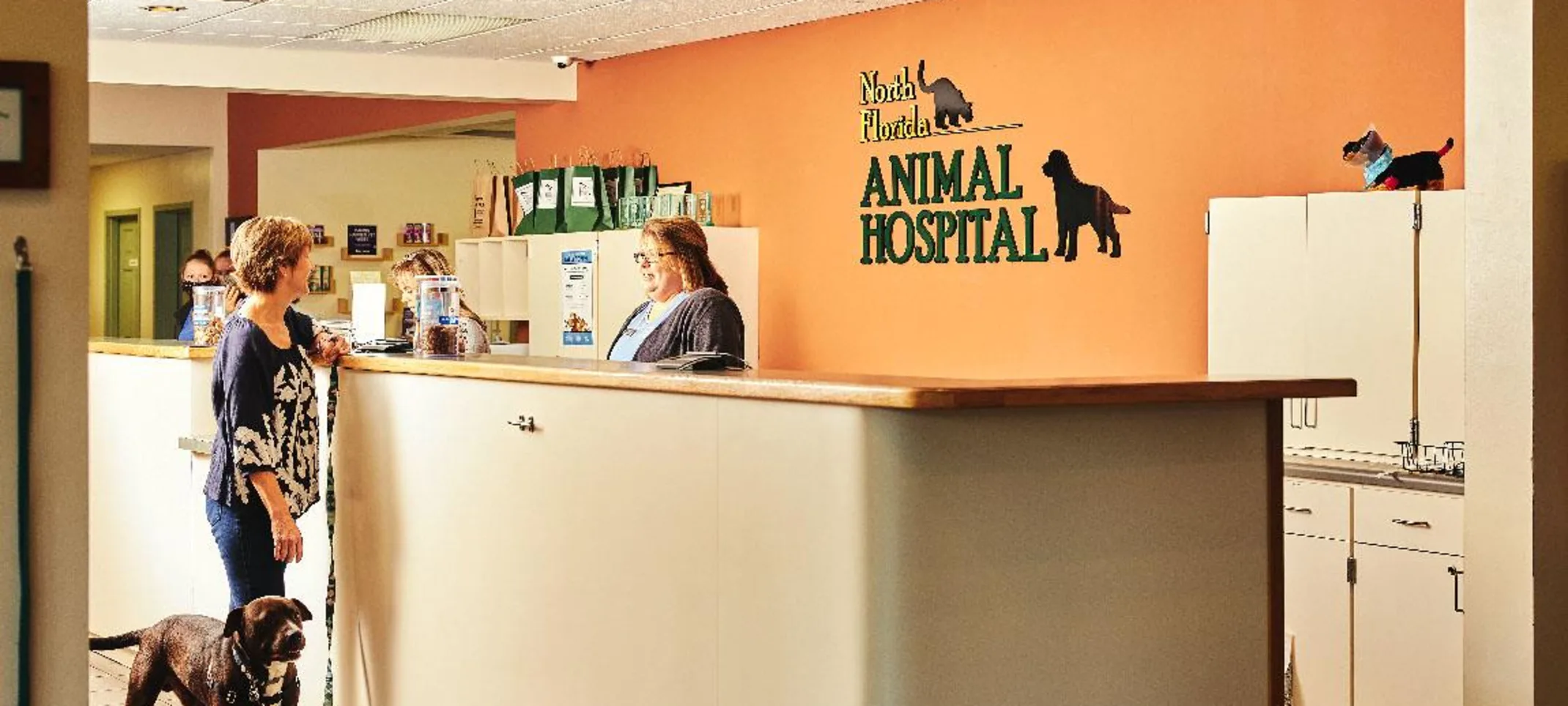 Person and dog checking in at reception desk