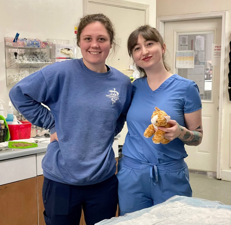 Animal Medical Center (Tuscaloosa) Two Veterinary Assistants