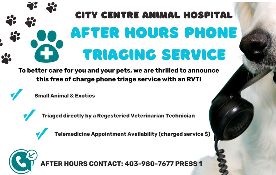 After hours phone triaging service