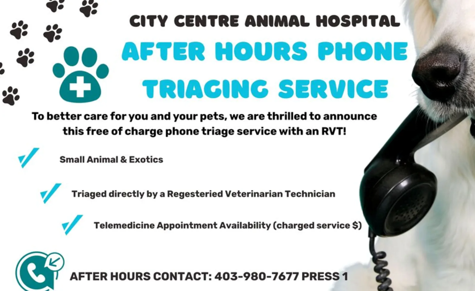 After hours phone triaging service After hours phone triaging service