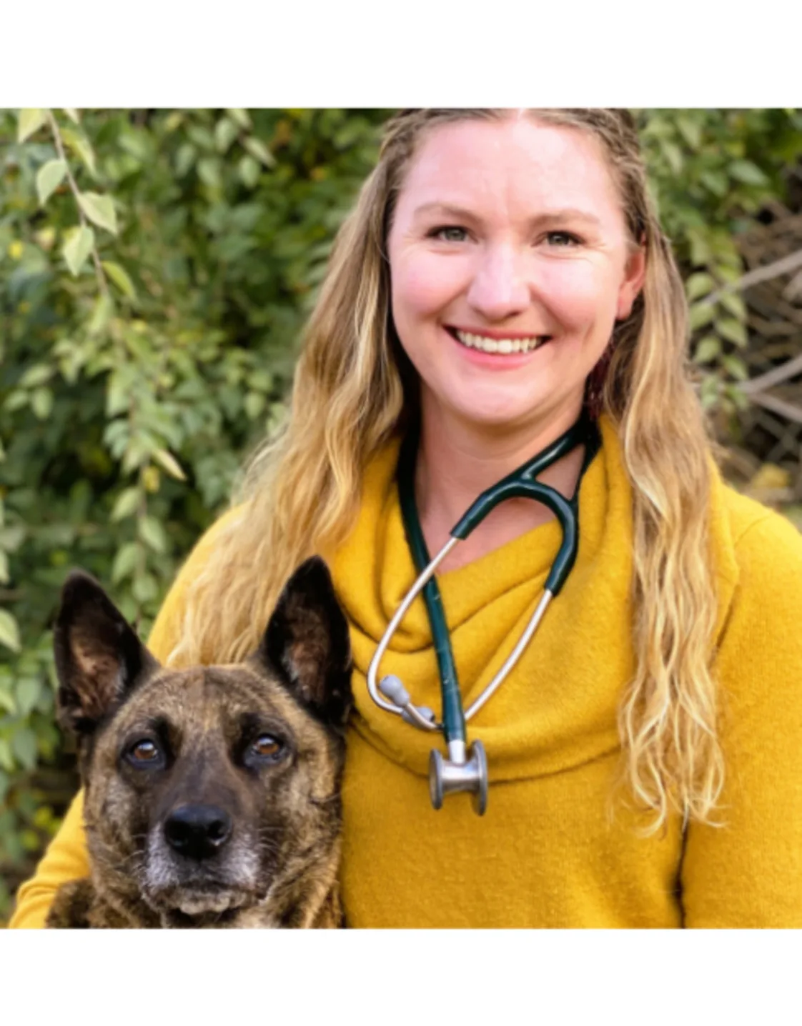 Dr. Renate Schlaht Dr. Renate Schlaht