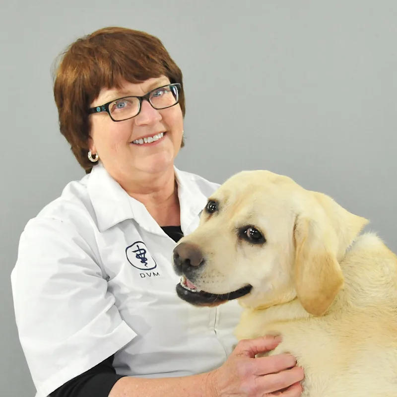 Dr. Christine Kofron Dr. Christine Kofron