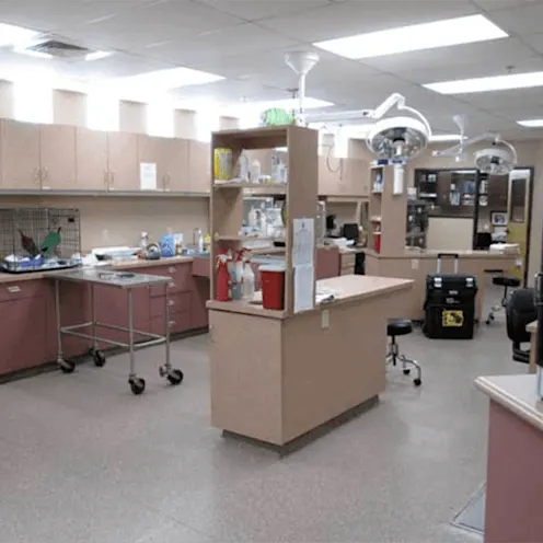 Office area at Palm Glen Animal Hospital Office area at Palm Glen Animal Hospital