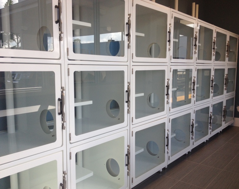 Lauderdale Pet Lodge Cat Condo