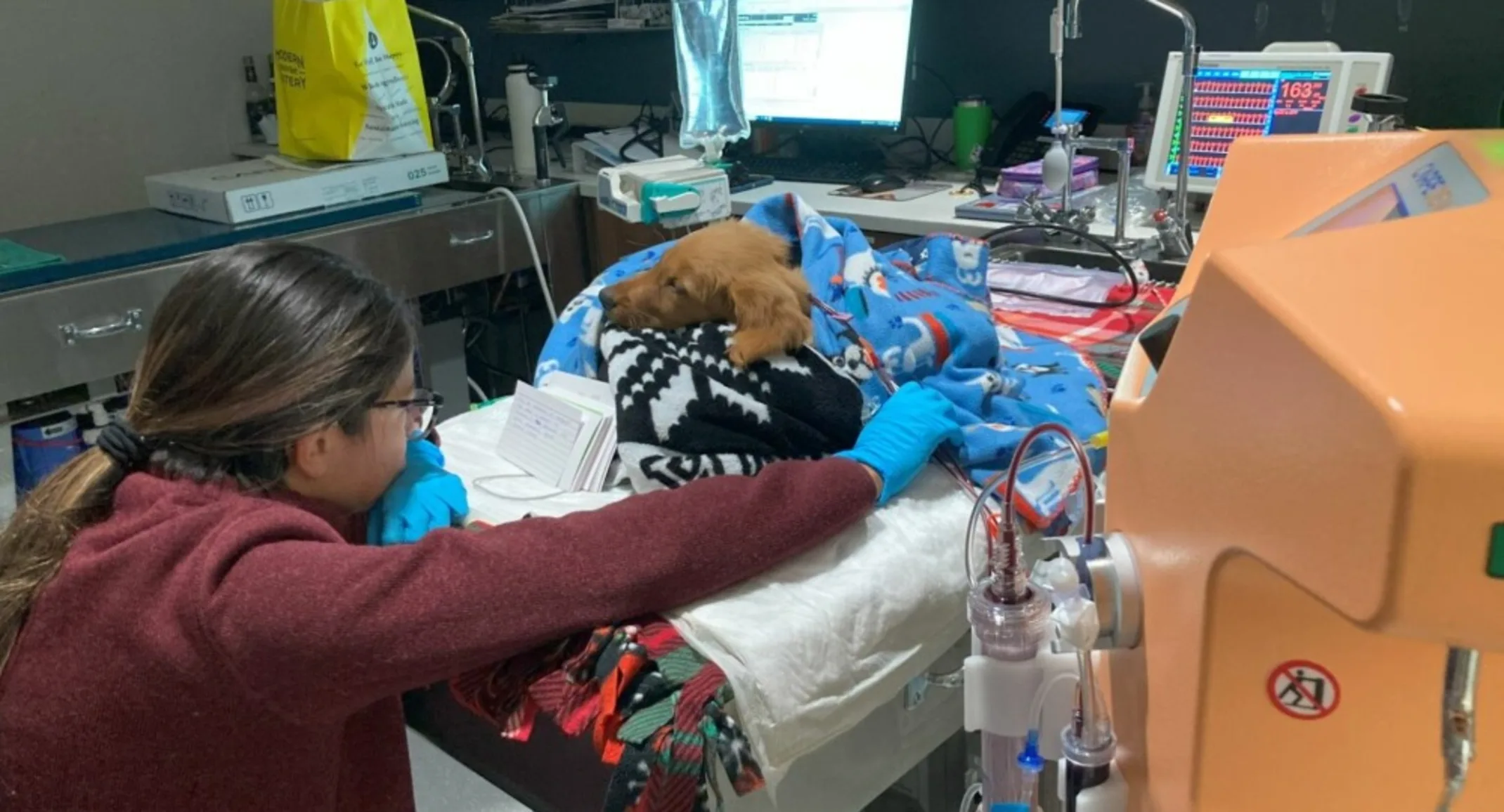 Vet carrying for sully Vet carrying for sully