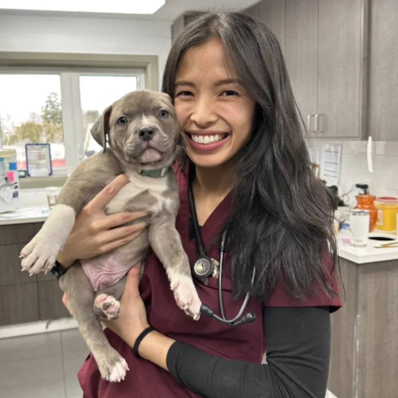 Dr. Meredith Garcia at Oakpark Pet Hospital Dr. Meredith Garcia at Oakpark Pet Hospital