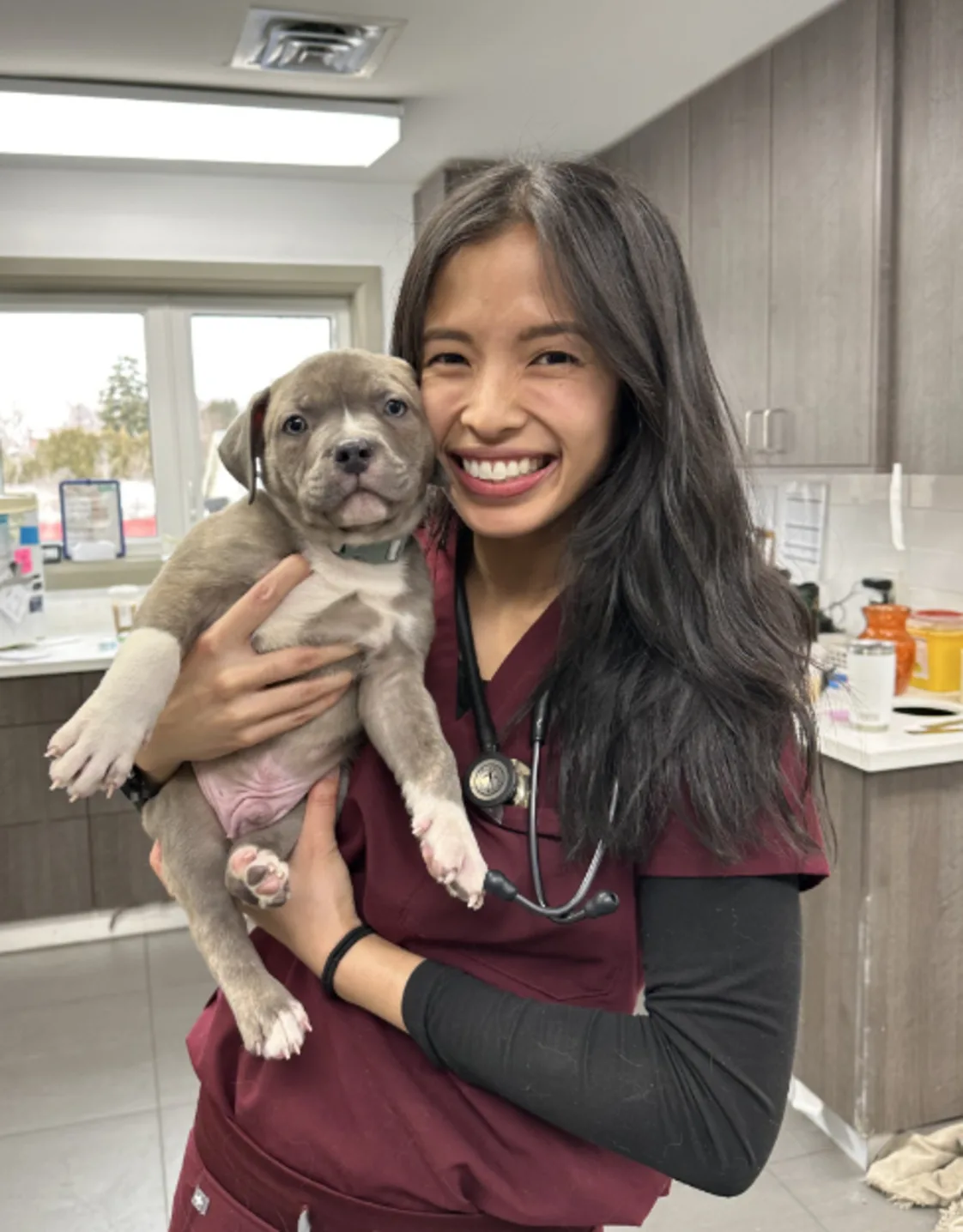 Dr. Meredith Garcia at Oakpark Pet Hospital Dr. Meredith Garcia at Oakpark Pet Hospital
