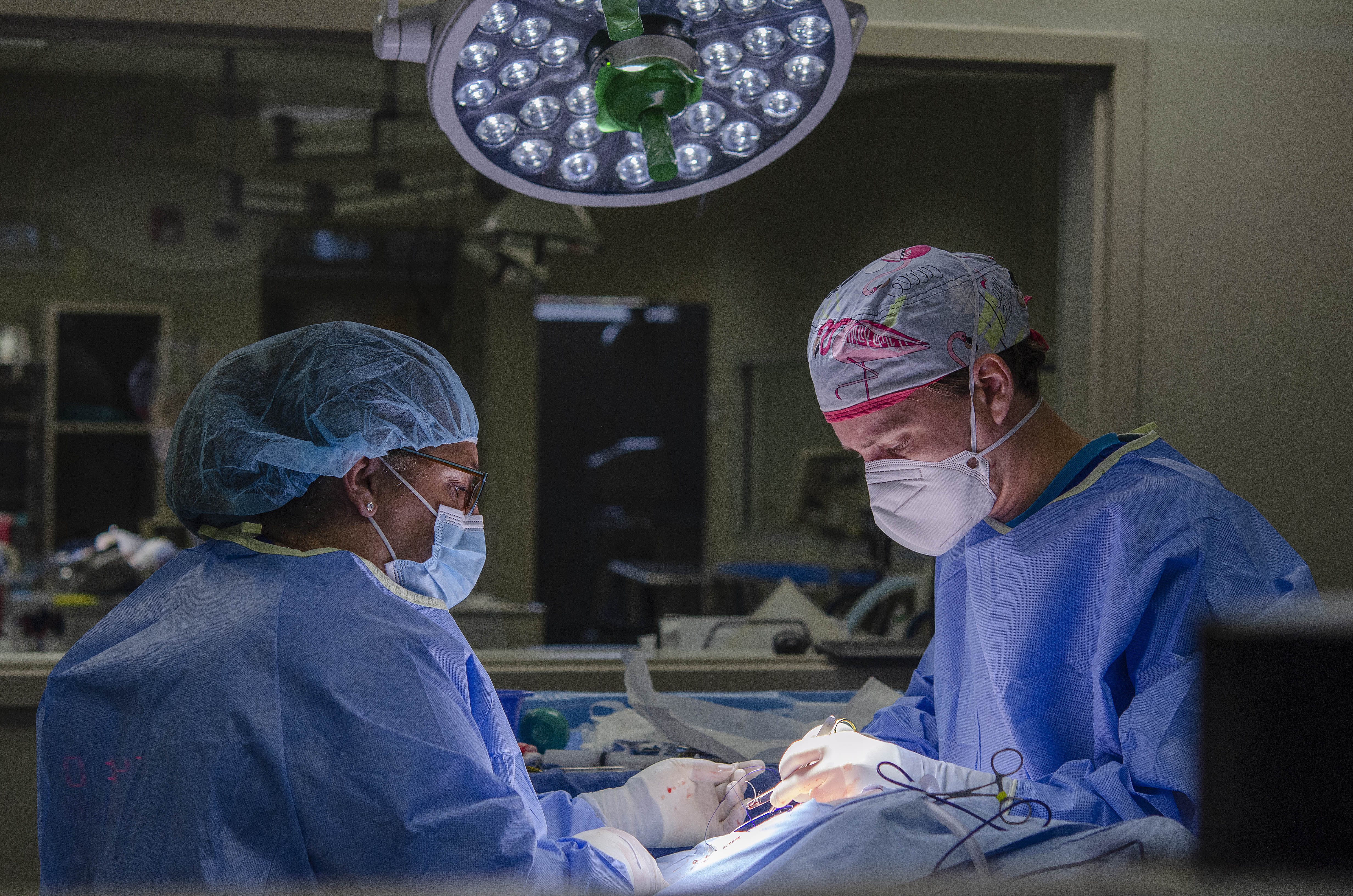 Dr. White performing a proceedure