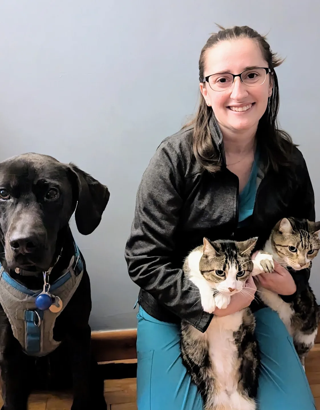 Dr. Chelsea Field Dr. Chelsea Field