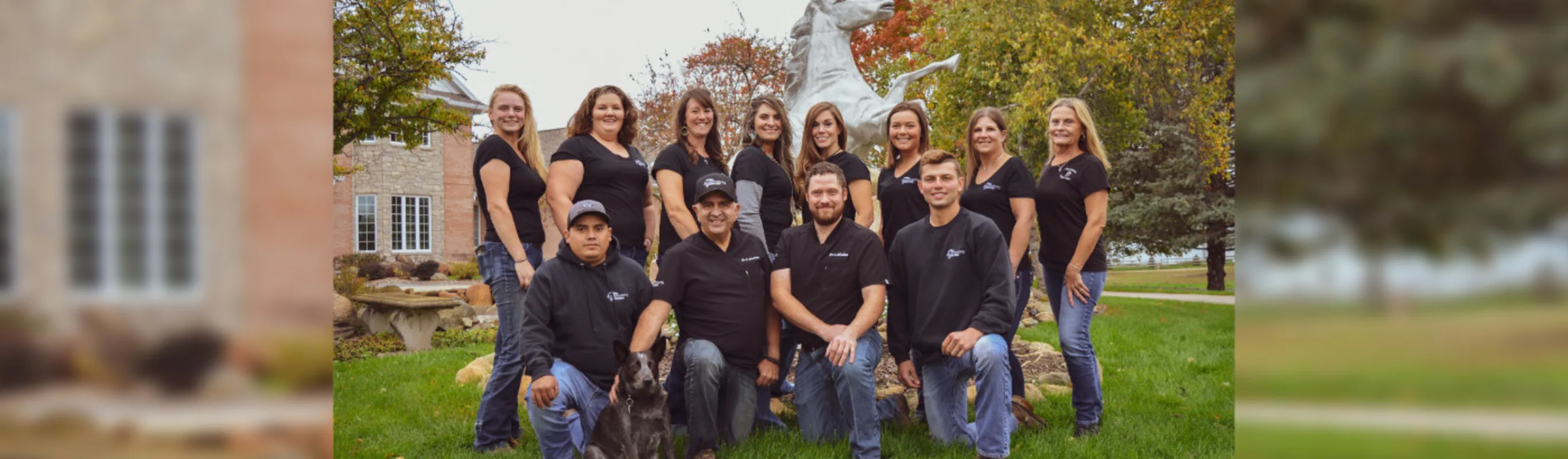 Abrahams Equine Clinic team 