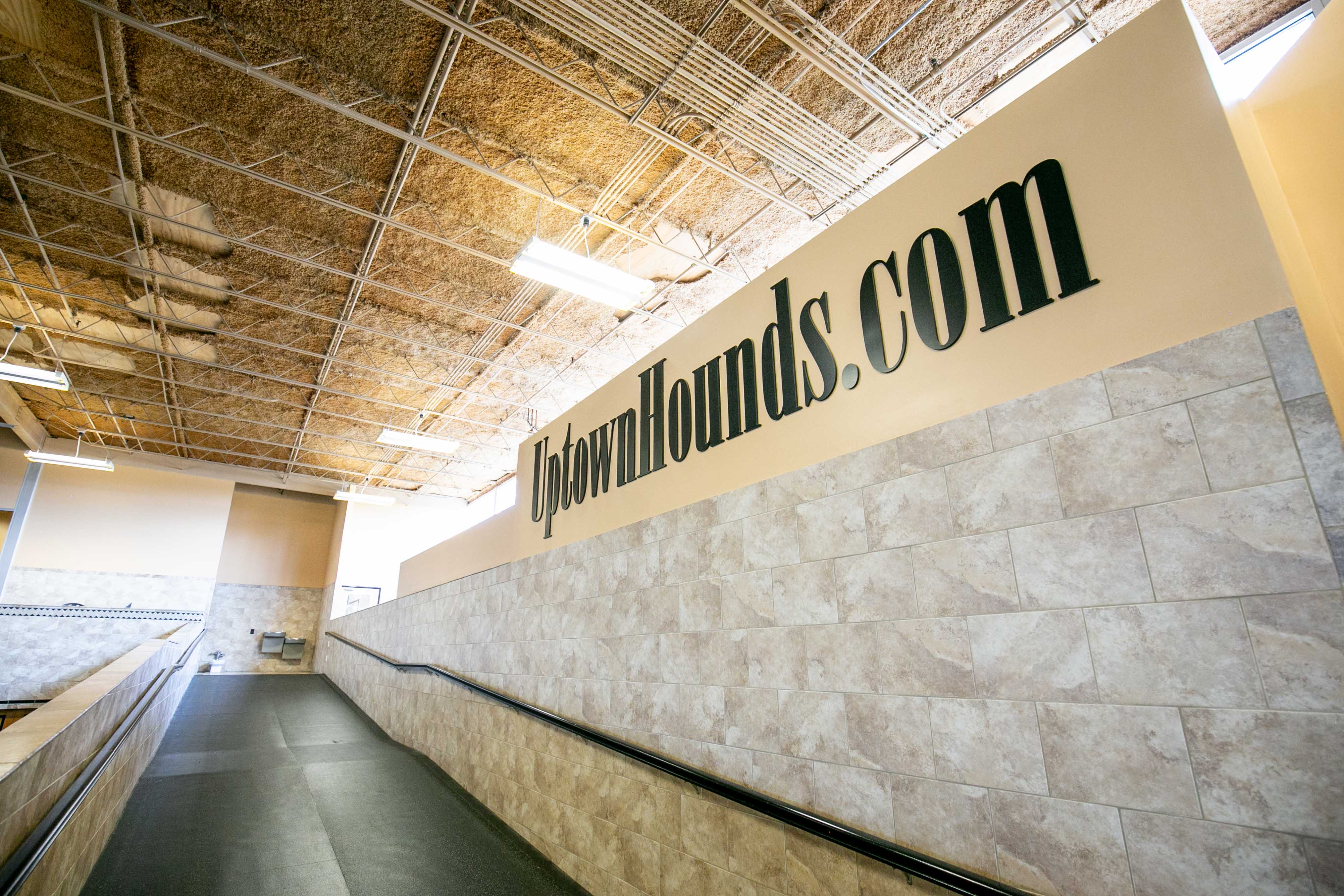Uptown Hounds Indoor Ramp that also shows Uptown Hounds website name on the wall. 