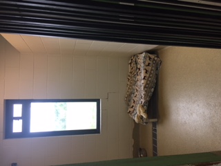 Countryside Pet Clinic