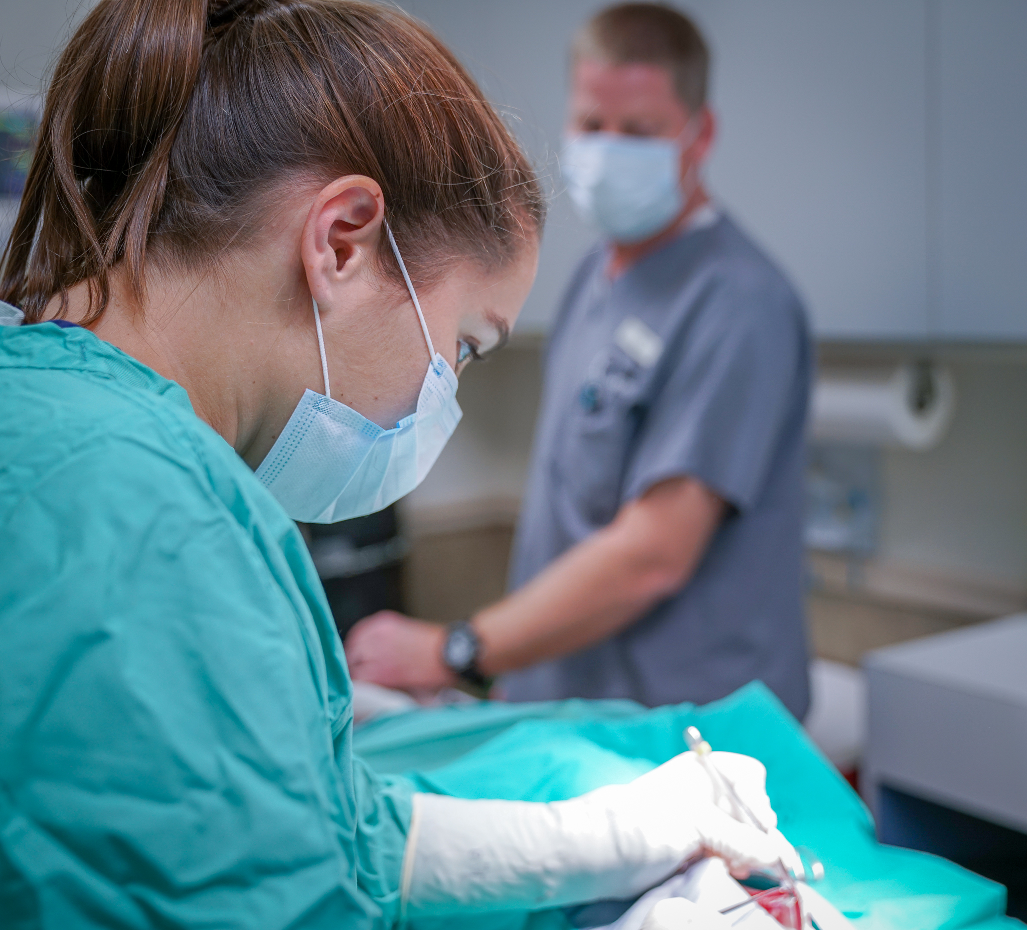 hospital procedure at Highland Lakes Veterinary Clinic