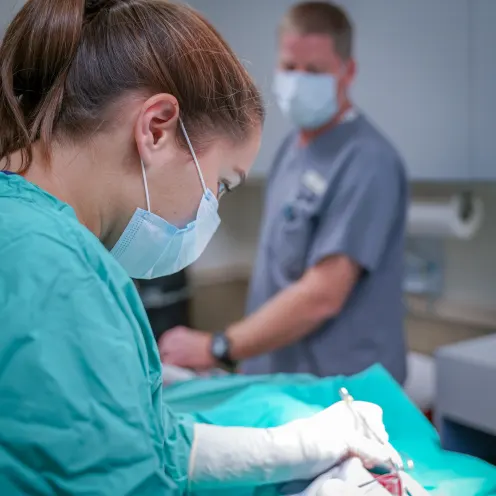 hospital procedure at Highland Lakes Veterinary Clinic