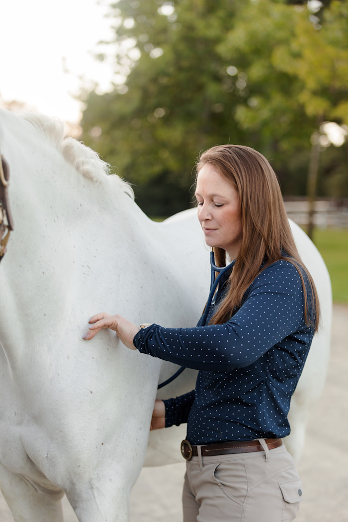 Dr. Yacom checking heart rate a Gray Horse