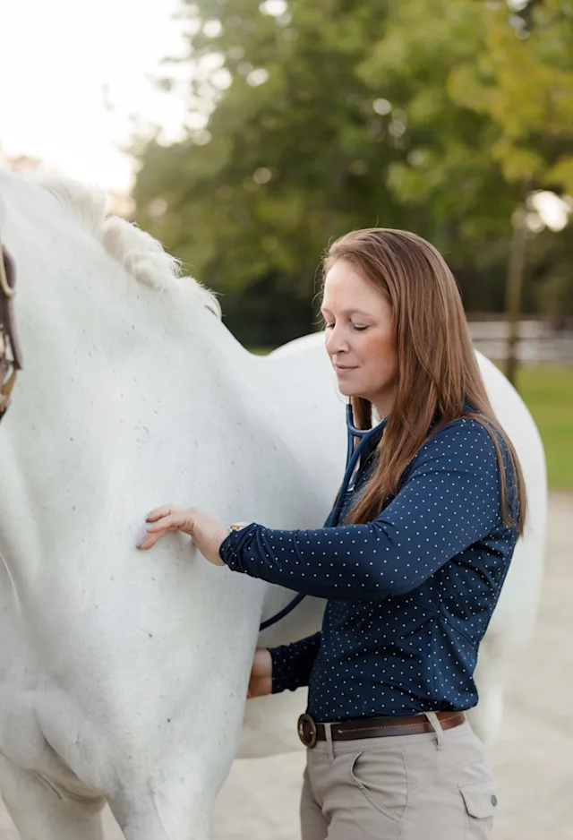Dr. Yacom checking heart rate a Gray Horse Dr. Yacom checking heart rate a Gray Horse