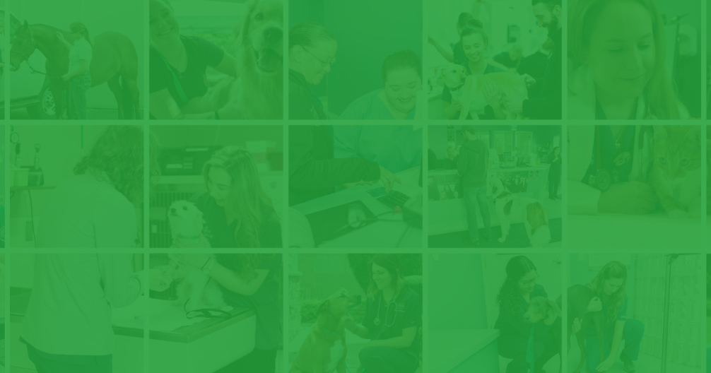 National Veterinary Associates NVA