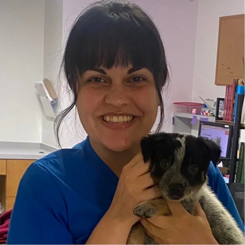 DVM Devery Hunt DVM Devery Hunt